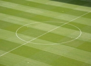 九游娱乐app下载-皇马险胜本菲卡，卡瓦尼扑点救主英超