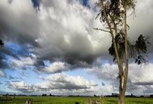 九游游戏-爆冷夜！斗牛士轰然跪倒，欧洲杯死亡半区格局已定！