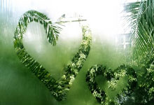 九游娱乐首页-篮坛巨星空降绿茵场！西班牙登顶中超引爆魔都狂欢夜