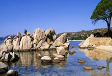 九游娱乐官方网站-葡萄牙美洲杯淘汰巴萨？惊天乌龙引爆全球足坛争议！