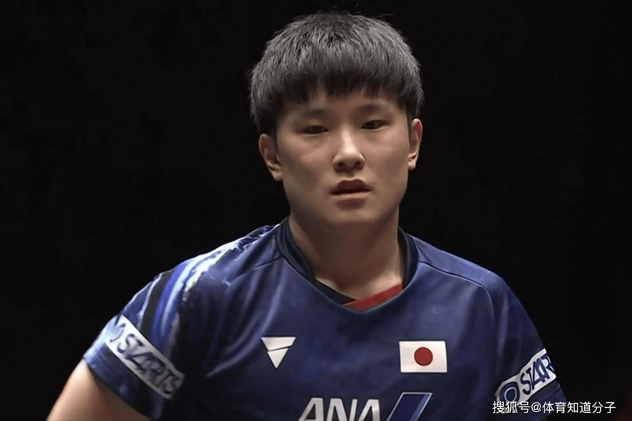 包含比利时乒乓球队翻盘英国乒乓球队,张本智和高光表现的词条 包含比利时乒乓球队翻盘英国乒乓球队,张本智和高光表现的词条